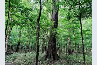 0 Caldwell Road #TRACT B1, Gay, GA 30218 - Photo 9