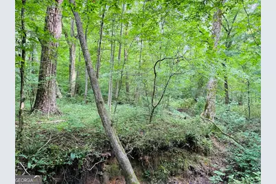 0 Caldwell Road #TRACT B1, Gay, GA 30218 - Photo 19