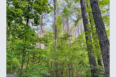 0 Caldwell Road #TRACT B1, Gay, GA 30218 - Photo 27