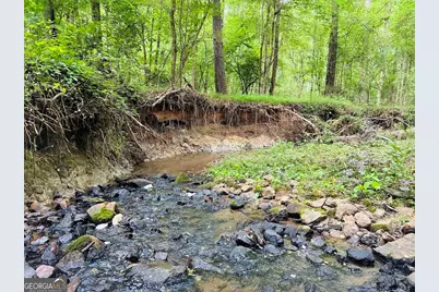 0 Caldwell Road #TRACT B1, Gay, GA 30218 - Photo 3