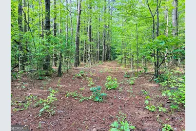 0 Caldwell Road #TRACT B1, Gay, GA 30218 - Photo 25