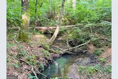 0 Caldwell Road #TRACT B1, Gay, GA 30218 - Photo 23
