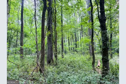 0 Caldwell Road #TRACT B1, Gay, GA 30218 - Photo 7
