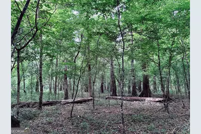 0 Caldwell Road #TRACT B1, Gay, GA 30218 - Photo 11