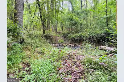 0 Caldwell Road #TRACT B1, Gay, GA 30218 - Photo 29