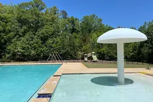 19 Chatham Ct, Williamson, GA 30292 - Photo 61