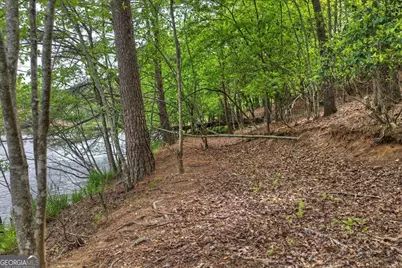 354 Kaely Drive, Mineral Bluff, GA 30559 - Photo 55