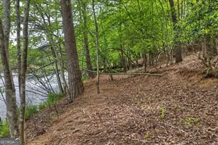 354 Kaely Dr, Mineral Bluff, GA 30559 - Photo 55