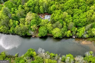 354 Kaely Dr, Mineral Bluff, GA 30559 - Photo 65