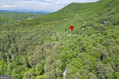L 15&amp;16 Raven Ridge Circle, Mineral Bluff, GA 30559 - Photo 11