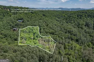 L 15&amp 16 Raven Ridge Circle, Mineral Bluff, GA 30559 - Photo 1