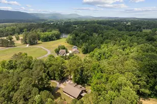 393 Blue Mountain Ln, Trion, GA 30753 - Photo 31
