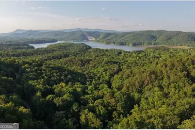 115 Carters Overlook, Ranger, GA 30734 - Photo 1