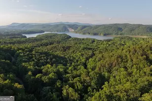 115 Carters Overlook, Ranger, GA 30734 - Photo 1