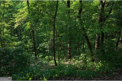 115 Carters Overlook, Ranger, GA 30734 - Photo 3