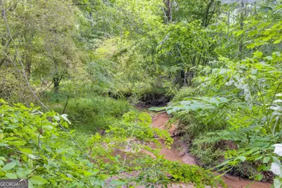 335 Elizabeth Court, Colbert, GA 30628 - Photo 3