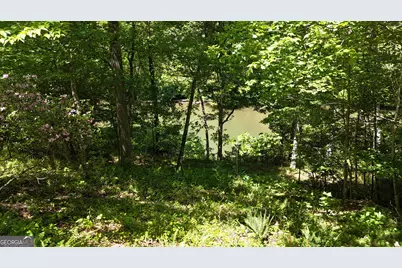 467 Old River Road, Cornelia, GA 30531 - Photo 61