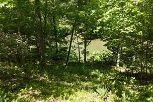 467 Old River Rd, Cornelia, GA 30531 - Photo 61