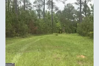 50 Harvest Road, Coleman, GA 39836 - Photo 7