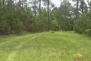 50 Harvest Rd, Coleman, GA 39836 - Photo 7