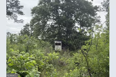 50 Harvest Road, Coleman, GA 39836 - Photo 17