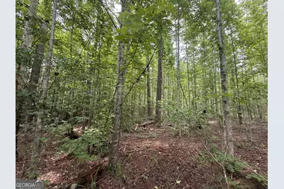 50 Harvest Road, Coleman, GA 39836 - Photo 11