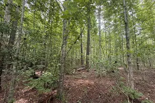 50 Harvest Rd, Coleman, GA 39836 - Photo 11