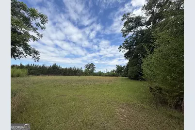 50 Harvest Road, Coleman, GA 39836 - Photo 19