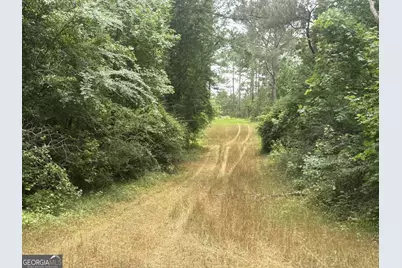 50 Harvest Road, Coleman, GA 39836 - Photo 13