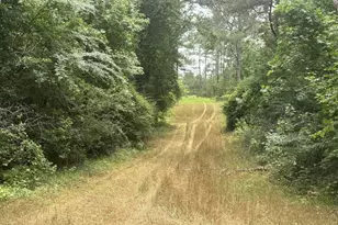 50 Harvest Rd, Coleman, GA 39836 - Photo 13