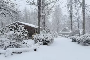 520 Chickasaw Ln, Rabun Gap, GA 30568 - Photo 3