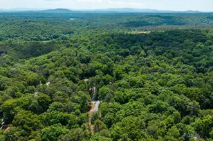 121 Orbit Ln, Ellijay, GA 30540 - Photo 53