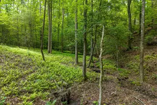 121 Orbit Ln, Ellijay, GA 30540 - Photo 49