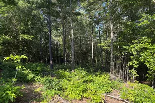 0 Anna Claire Ct, Monticello, GA 31064 - Photo 1