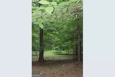 2 Mount Moriah Road, Auburn, GA 30011 - Photo 3