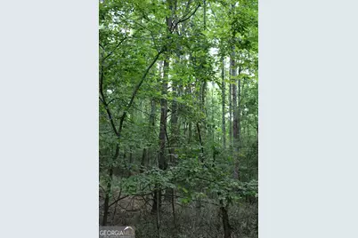 2 Mount Moriah Road, Auburn, GA 30011 - Photo 11