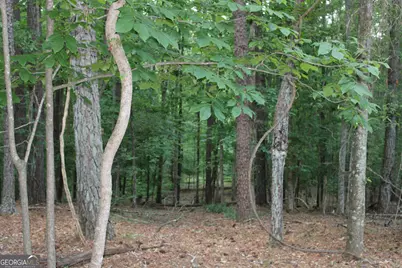 2 Mount Moriah Road, Auburn, GA 30011 - Photo 7