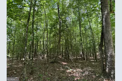010 Long Branch Rd, Toomsboro, GA 31090 - Photo 5