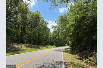 008 George Milling Rd, Toomsboro, GA 31090 - Photo 5