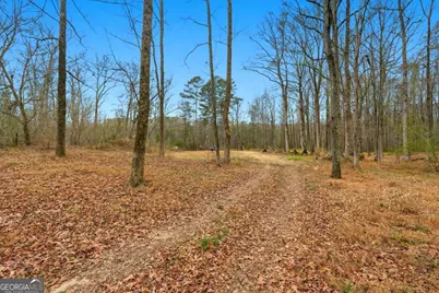 1188 Carl Bethlehem Road, Winder, GA 30680 - Photo 31
