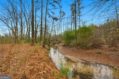 1188 Carl Bethlehem Road, Winder, GA 30680 - Photo 33