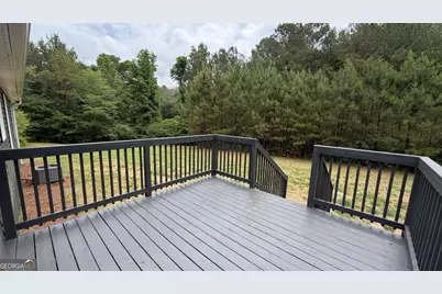 1646 Sandy Flat Road, Bowdon, GA 30108 - Photo 43
