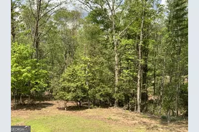 426 Shenendoa Drive #55, Ellijay, GA 30540 - Photo 15
