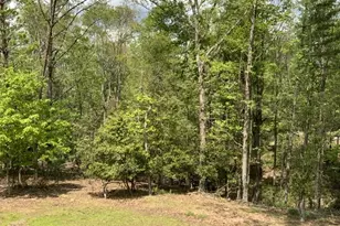 426 Shenendoa Dr, Ellijay, GA 30540 - Photo 15