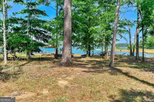 206 Dogwood Ln, Plum Branch, SC 29845 - Photo 59