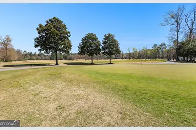 50 Spring Mist Court, Newnan, GA 30265 - Photo 67
