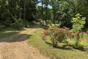 325 Fern Valley Trail, Clarkesville, GA 30523 - Photo 27