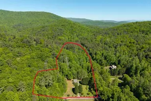86 Tipton Court, Cherry Log, GA 30522 - Photo 49