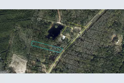 0 Youngman Road, Townsend, GA 31331 - Photo 3