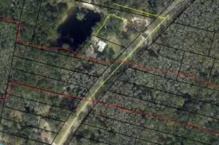 0 Youngman Rd, Townsend, GA 31331 - Photo 1